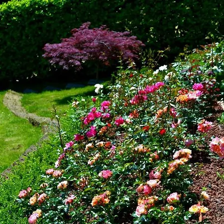 Le Grigne - The Garden Apartment Oliveto Lario