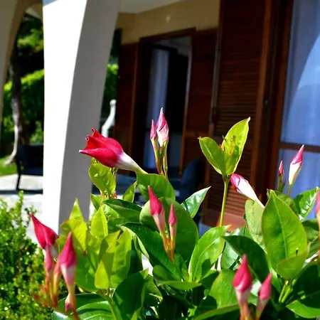 Le Grigne - The Garden Apartment